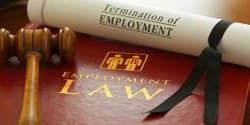 employment law book and gavil