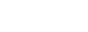 Seltzer Law Firm logo